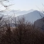 Haus Am Wiesengrund * ريت ام وينكل