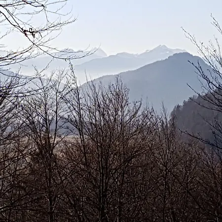 Haus Am Wiesengrund * ريت ام وينكل