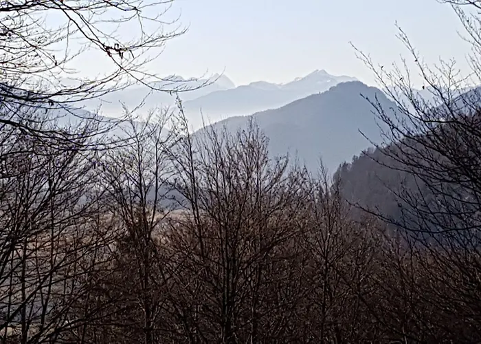 Haus Am Wiesengrund * Reit im Winkl